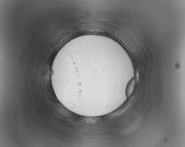 X0000116381251201001131801