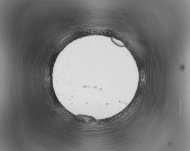 X0000116381252201001131801
