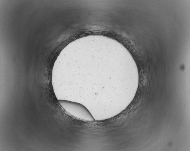 X0000116381253201001131801