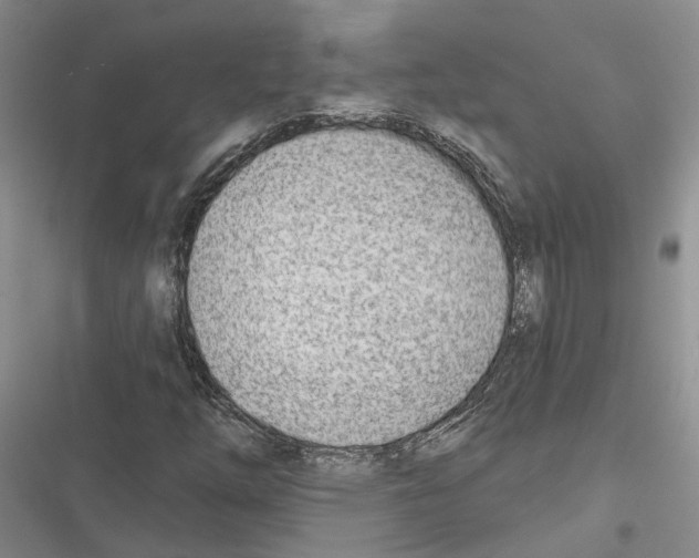 X0000116381254201001131801