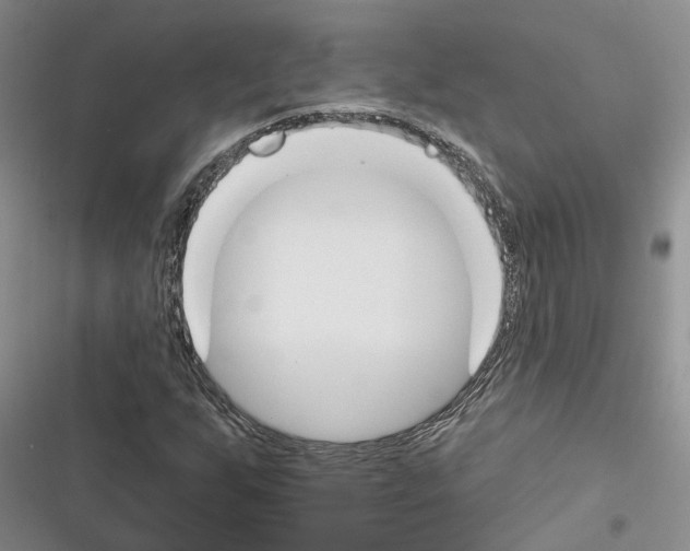 X0000116381255201001131801