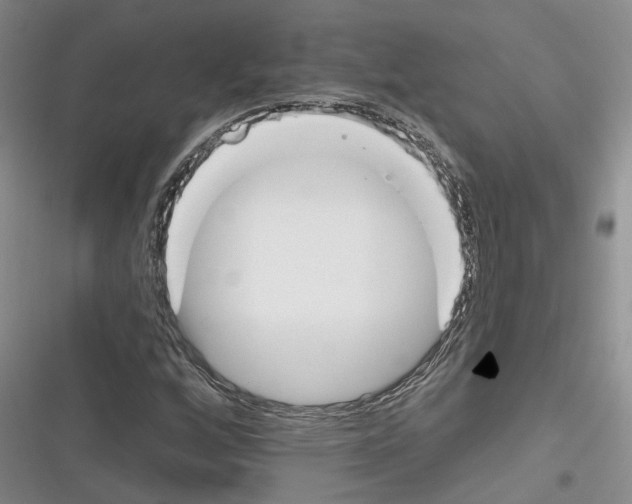 X0000116381256201001131801