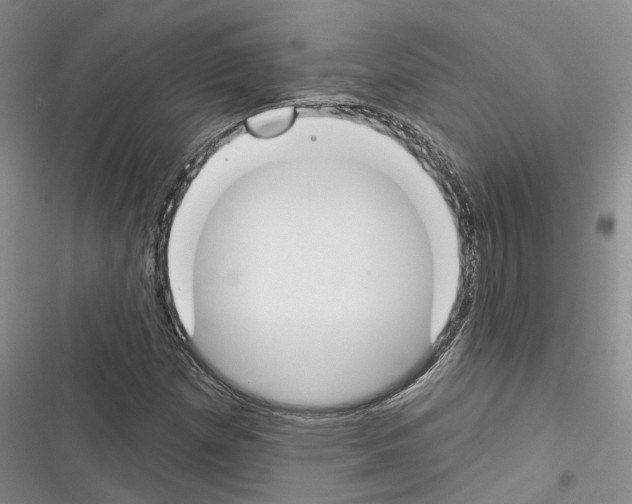 X0000116381257201001131801