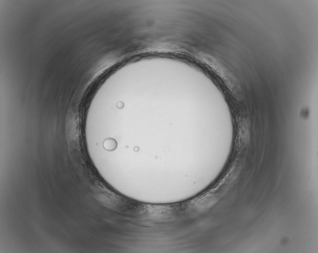 X0000116381258201001131801