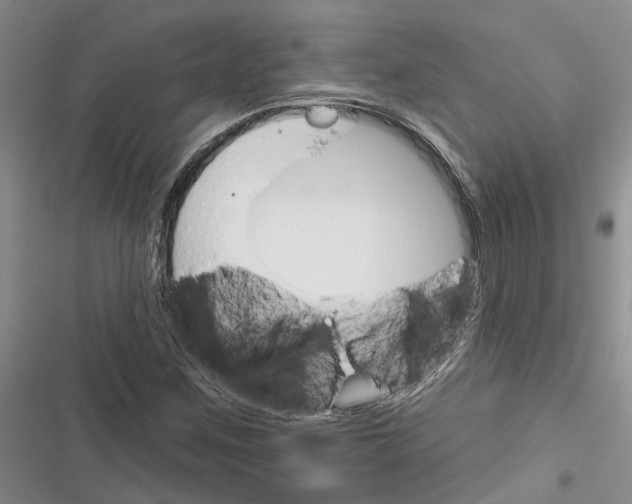 X0000116381259201001131801