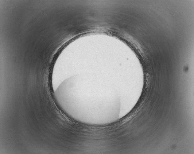 X0000116381260201001131801