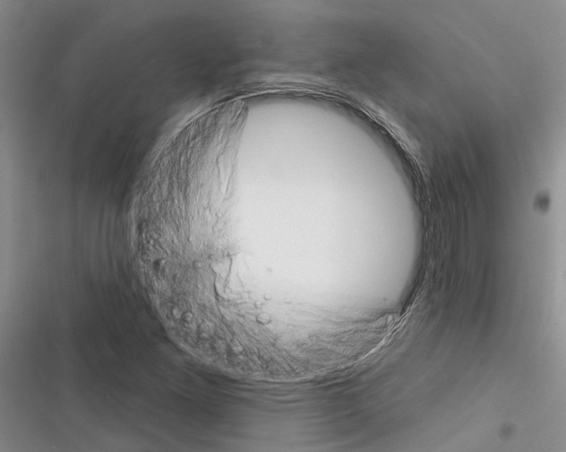 X0000116381261201001131801