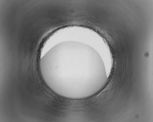 X0000116381262201001131801
