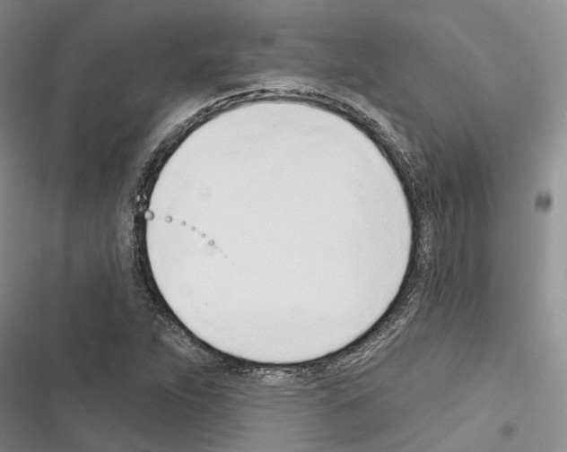 X0000116381263201001131801