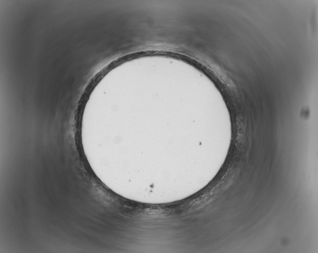 X0000116381264201001131801