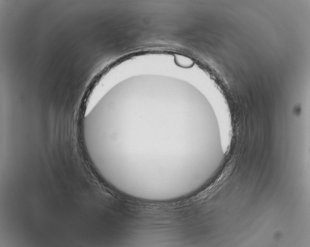 X0000116381267201001131801