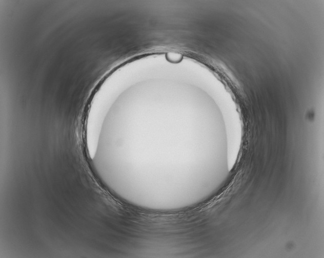 X0000116381268201001131801