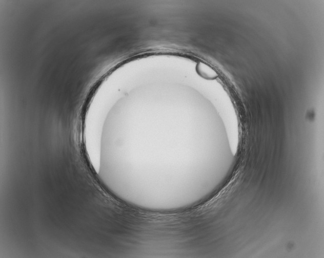 X0000116381269201001131801