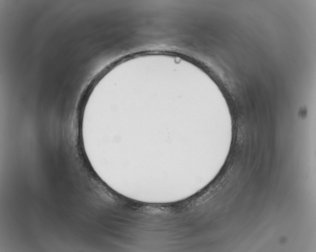 X0000116381270201001131801