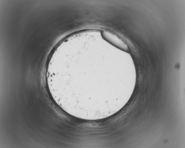 X0000116381272201001131801