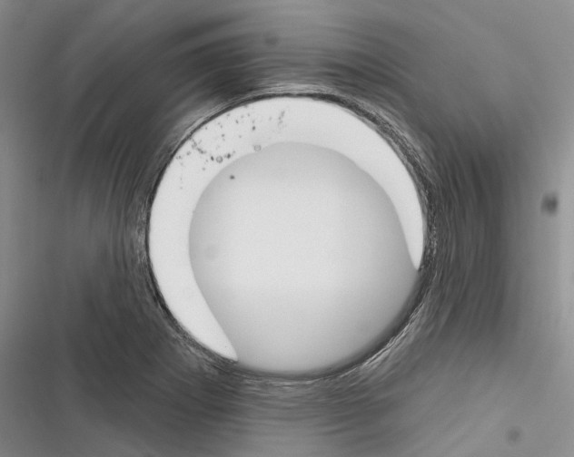 X0000116381273201001131801