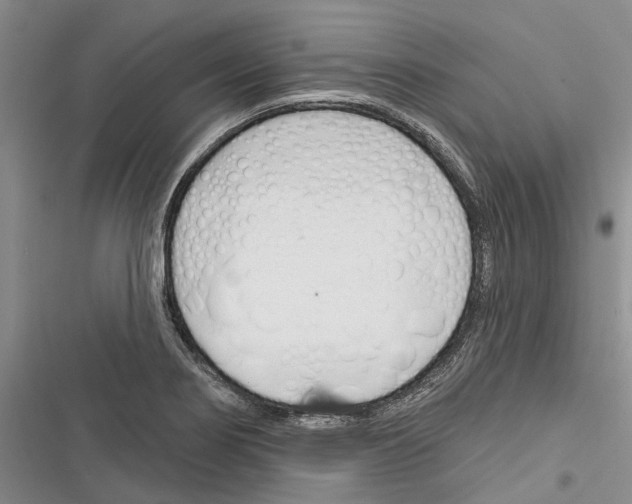 X0000116381274201001131801