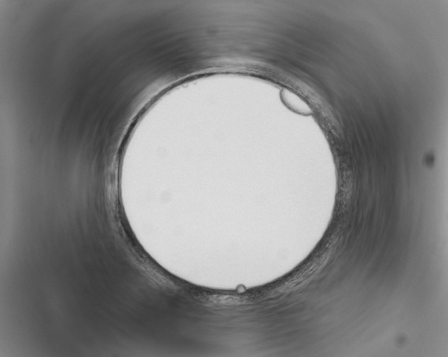X0000116381275201001131801