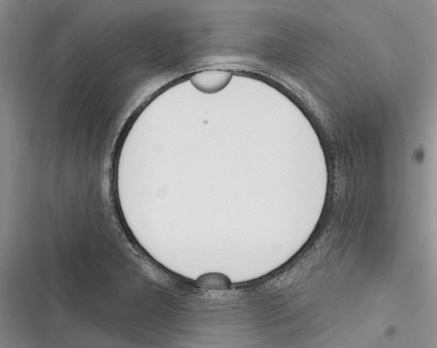 X0000116381277201001131801