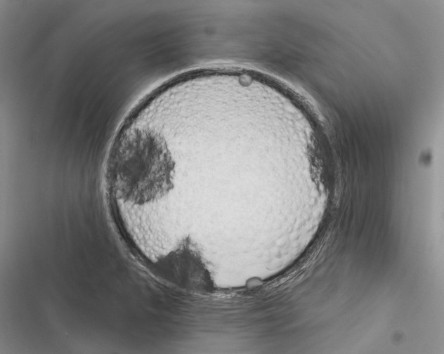 X0000116381279201001131801