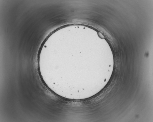 X0000116381280201001131801