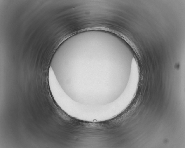 X0000116381281201001131801