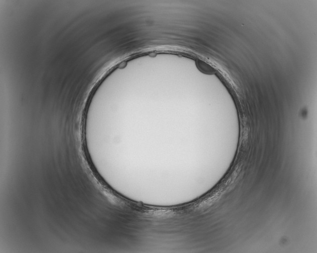 X0000116381282201001131801