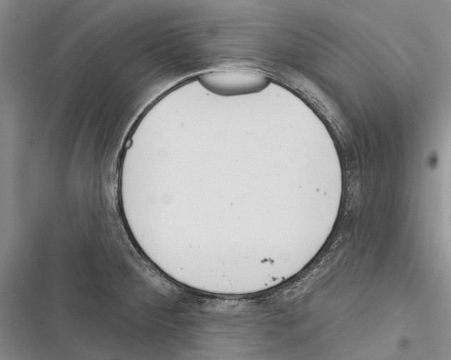 X0000116381284201001131801