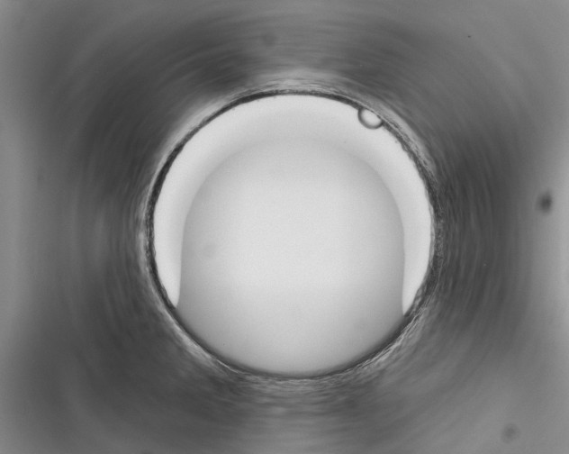 X0000116381285201001131801