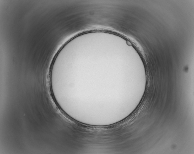 X0000116381287201001131801