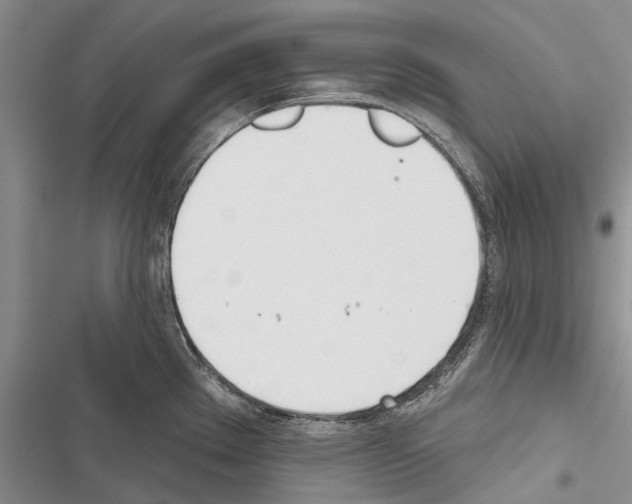 X0000116381289201001131801