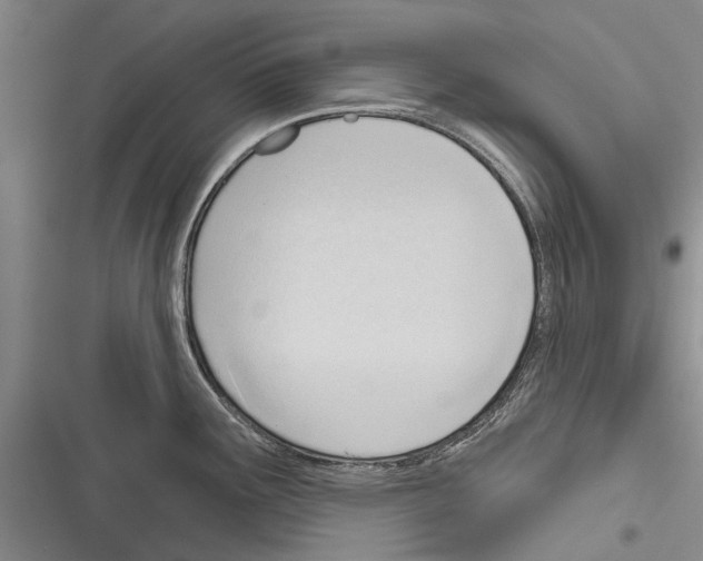 X0000116381291201001131800