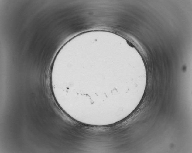 X0000116381292201001131800