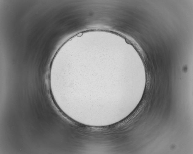 X0000116381295201001131800