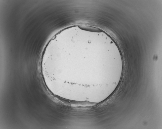 X0000116381296201001131800