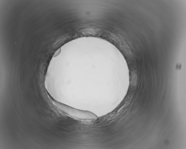 X0000116381297201001131800