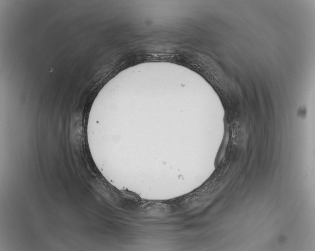 X0000116381298201001131800