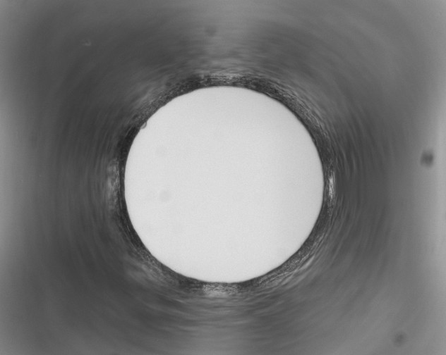 X0000116381299201001131800