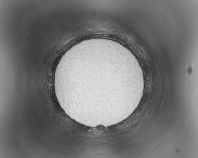 X0000116381301201001131800
