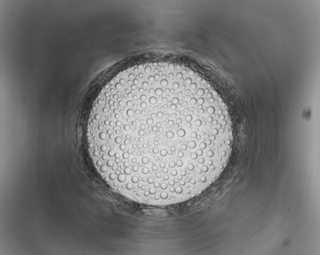 X0000116381302201001131800