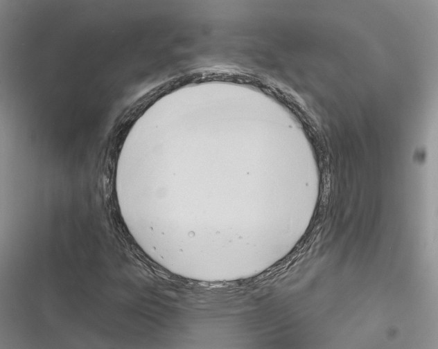 X0000116381303201001131800
