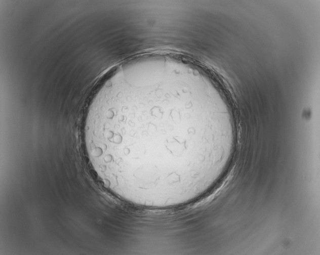 X0000116381305201001131800