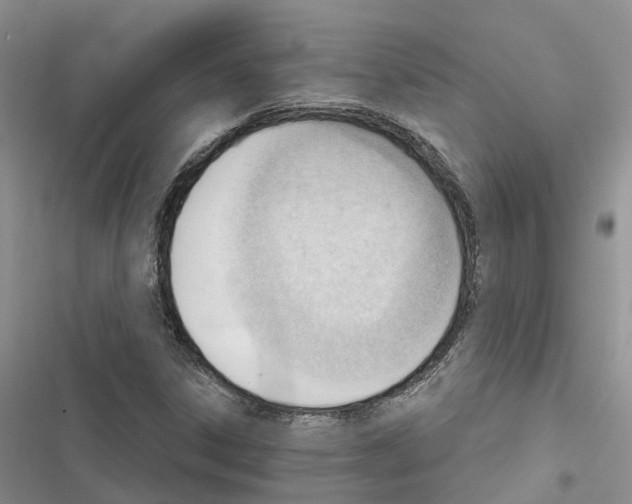 X0000116381306201001131800