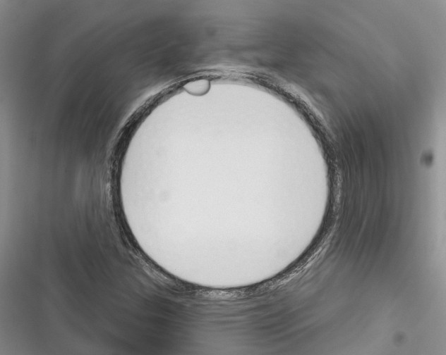 X0000116381307201001131800
