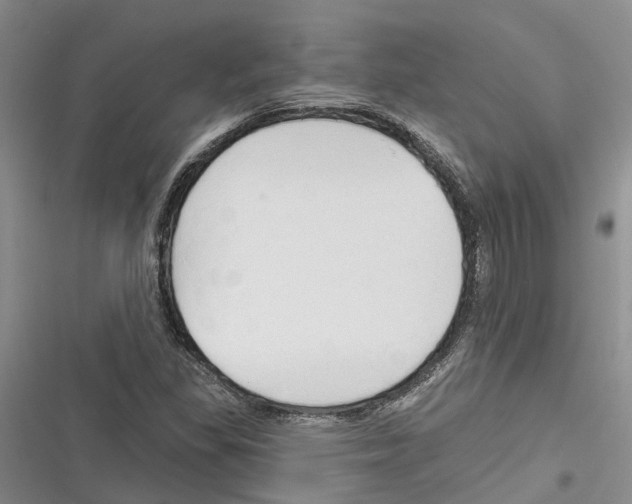 X0000116381309201001131800
