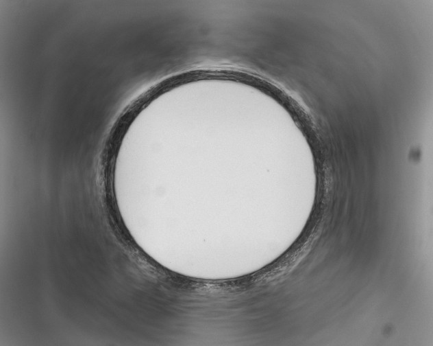 X0000116381311201001131800