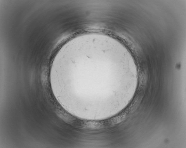 X0000116381314201001131800