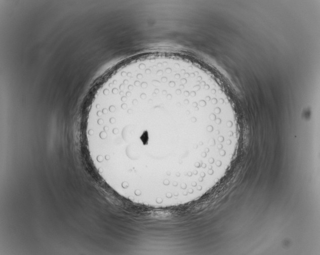 X0000116381315201001131800