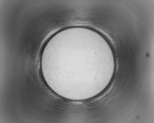 X0000116381317201001131800