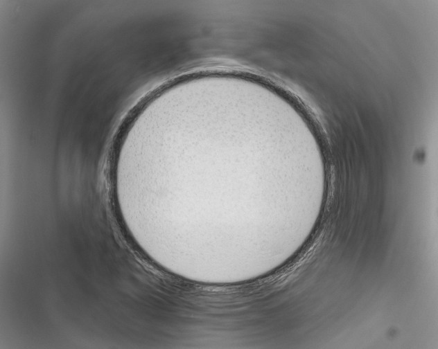 X0000116381318201001131800